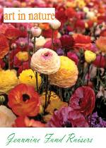 Art in Nature - Spring 2012 Flower Bulbs